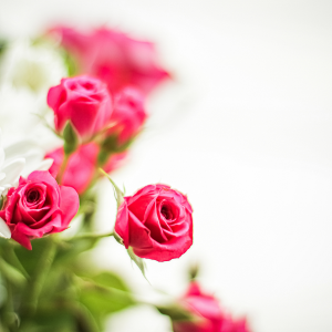 Giornata internazionale della donna