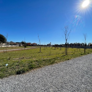 Inaugurazione del bosco urbano