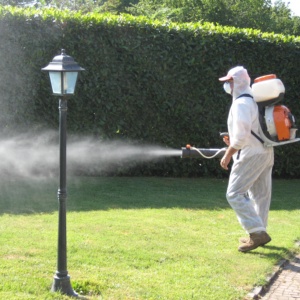 Disinfestazioni zanzara tigre