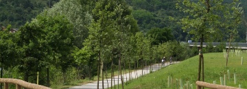 Immagine area Ambiente e territorio