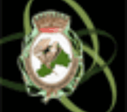 immagine Sportello Telematico Polifunzionale