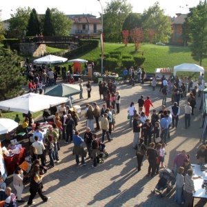 Brusaporto produce e commercia 2019